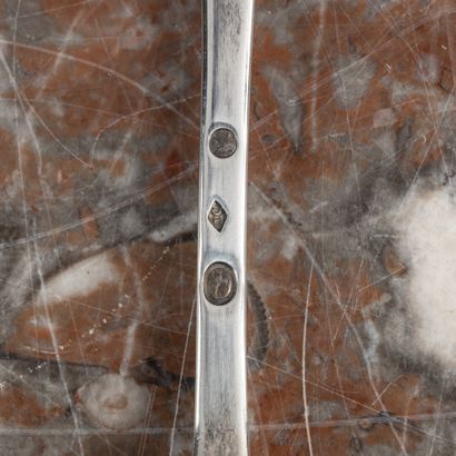 Ensemble en argent:
- pince à sucre à décor...