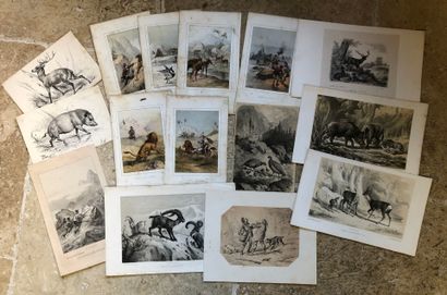 SHOOTING HUNTING. A collection of 21 19th...