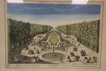 2 Enhanced optical views :
The Versailles...