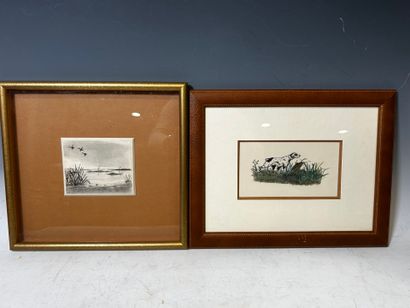[HUNTING] 2 coasters: 