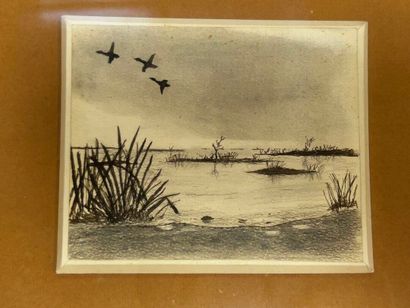 [HUNTING] 2 coasters: 