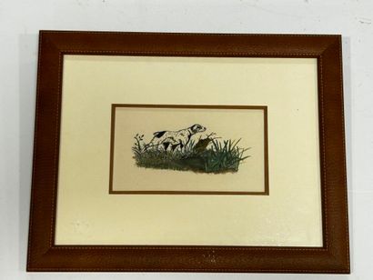 [HUNTING] 2 coasters: 