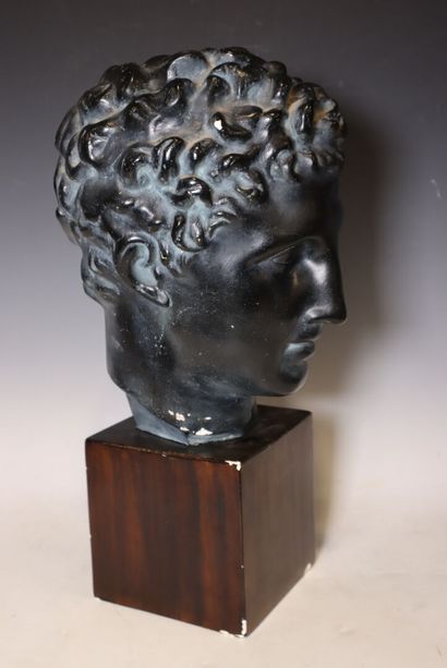 Tête en plâtre à patine brune, d' après l'antique
Haut...