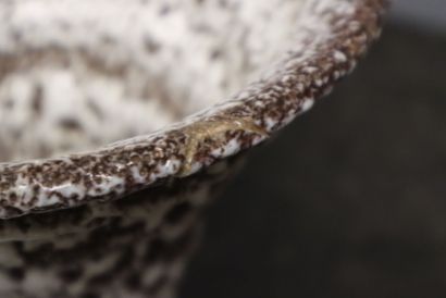 MARIUS GIUGE - VALLAURIS. 
Ceramic lava-effect...