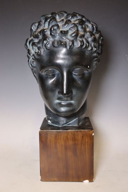 Tête en plâtre à patine brune, d' après l'antique
Haut...