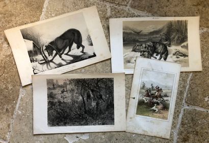 WOLF. Reunion of a colored lithograph after...