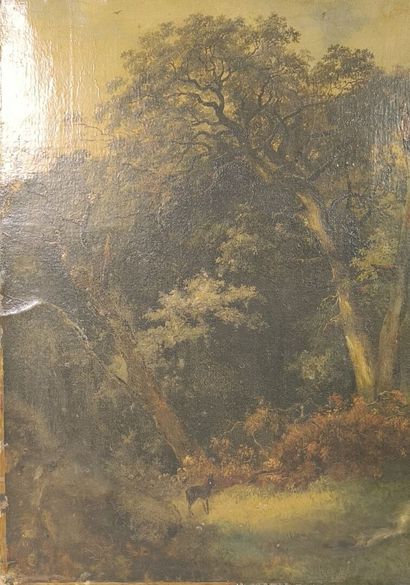 Ecole française du XIXème siècle. Sous-bois....