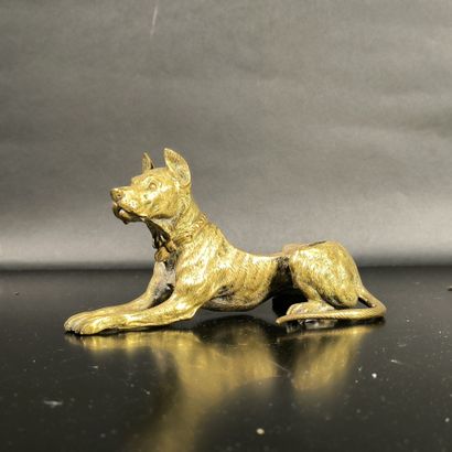 Dogue en bronze de Vienne, patine dorée....