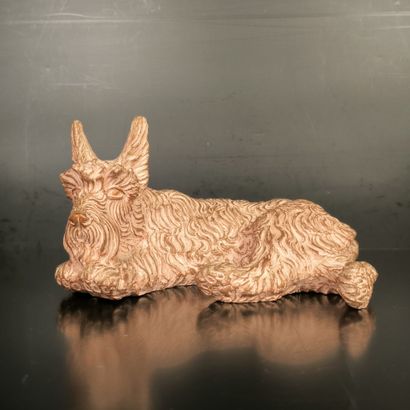 . Jacques SR (?). Scottish Terrier. Groupe...