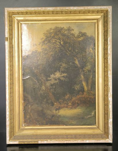 Ecole française du XIXème siècle. Sous-bois....