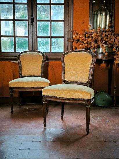 Paire de chaises à dossier violoné en bois...