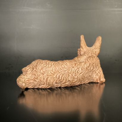 . Jacques SR (?). Scottish Terrier. Groupe...