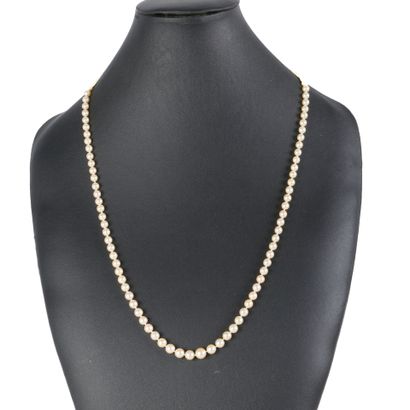 Sautoir of cultured pearls (diam. 5 to 8.7...
