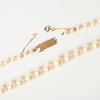 Necklace of tumbling cultured pearls (4 to...