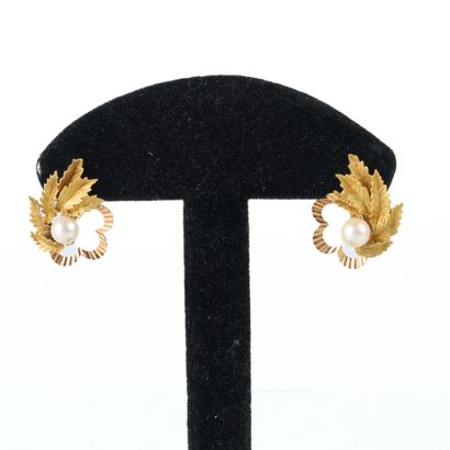 Pair of gold flower and foliage ear clips...