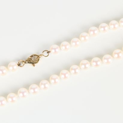 Cultured pearl chocker necklace (diam. 0.6...