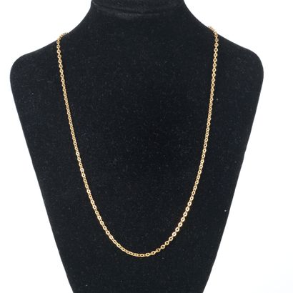 Gold oval chain. 46 cm. 6.24 g
