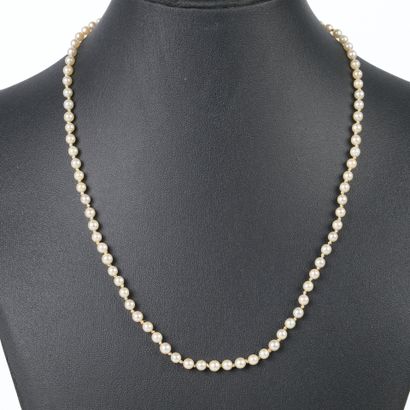 Necklace of choker cultured pearls (4 mm),...