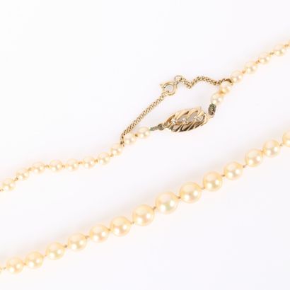 . Necklace of tumbling cultured pearls (diam....