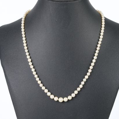 Necklace of 3.5 to 7 mm cultured pearls,...