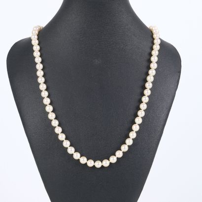 Cultured pearl chocker necklace (diam. 0.6...