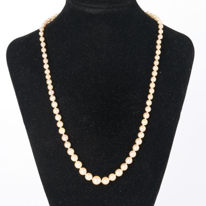 Necklace of old cultured pearls (3 to 7 mm...