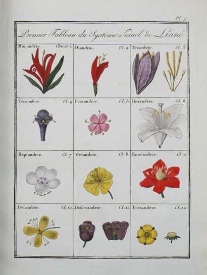 ROQUES (Joseph). Plantes usuelles, indigènes...