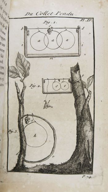 Ornithology - BULLIARD (Pierre). Aviceptologie...