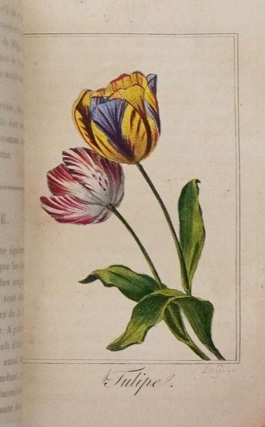 MALO (Charles). Guirlande de Flore. Paris,...