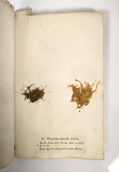 BREBISSON (L. Alphonse de). Mosses of Normandy....
