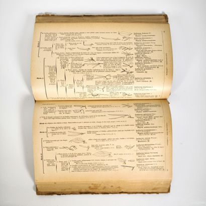 Gaston BONNIER & G de LAYENS. Flore complète...