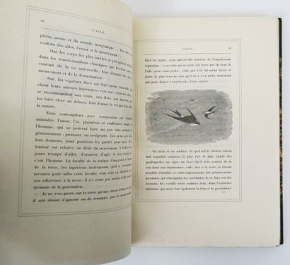 Ornithology - MICHELET (Jules). L'Oiseau....
