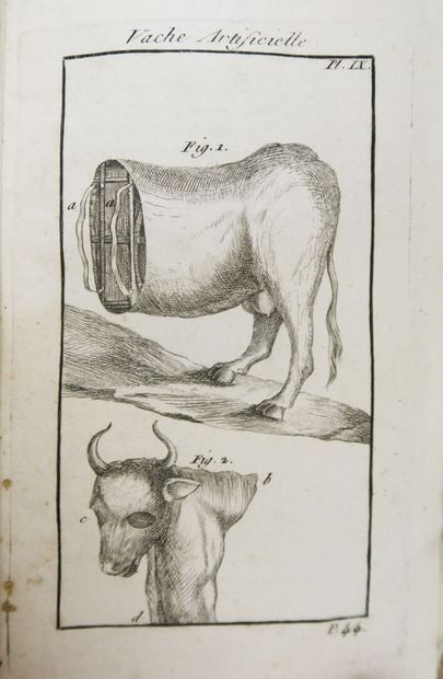Ornithology - BULLIARD (Pierre). Aviceptologie...