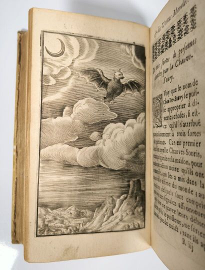 [Emblems - BAUDOIN]. Tableaux des sciences...