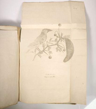 BRUCE (James). Cartes et figures du voyage...