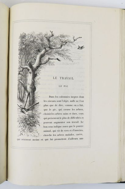 Ornithology - MICHELET (Jules). L'Oiseau....