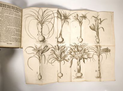 HERTODT (Johann Ferdinand). Crocologia seu...