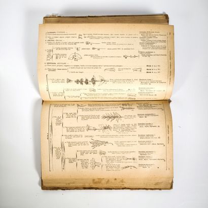 Gaston BONNIER & G de LAYENS. Flore complète...