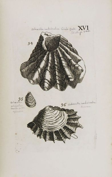 BOURGUET (L.) & CARTIER (P.). Traité des...