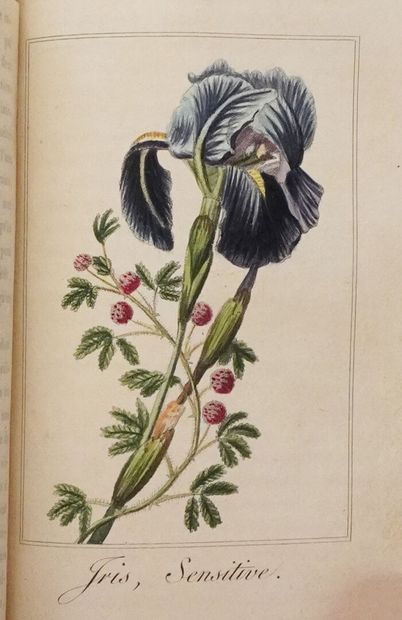 MALO (Charles). Guirlande de Flore. Paris,...