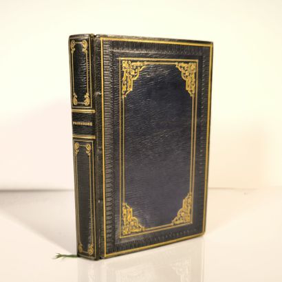 [MOREL DE VINDÉ (Charles-Gilbert)]. Primerose....