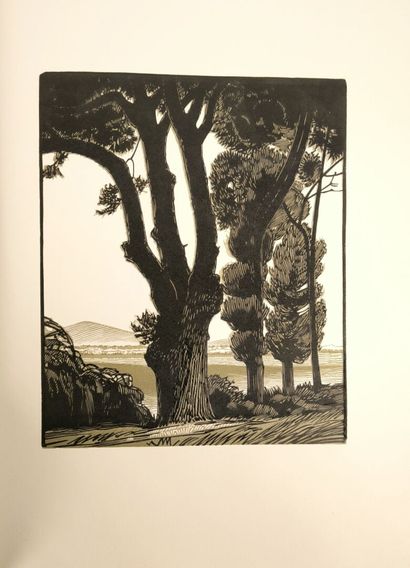 BURNOT (Philippe) & PAUPHILET (Albert). Trees....