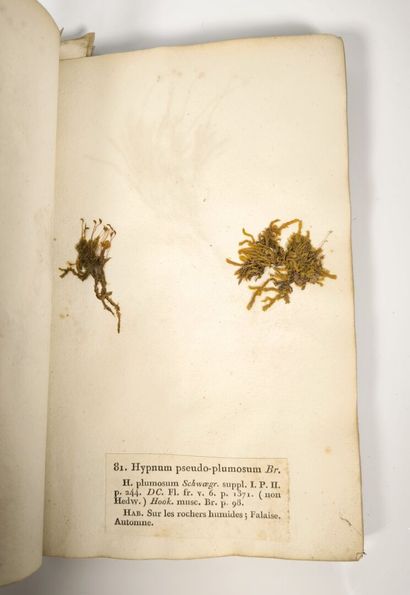 BREBISSON (L. Alphonse de). Mosses of Normandy....
