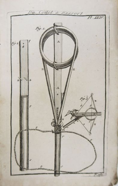 Ornithology - BULLIARD (Pierre). Aviceptologie...
