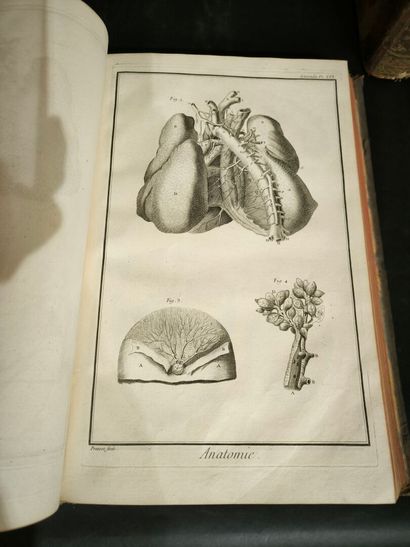 Encyclopedia. Set of 15 disparate in-folio...