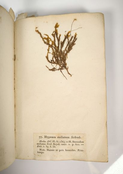 BREBISSON (L. Alphonse de). Mosses of Normandy....