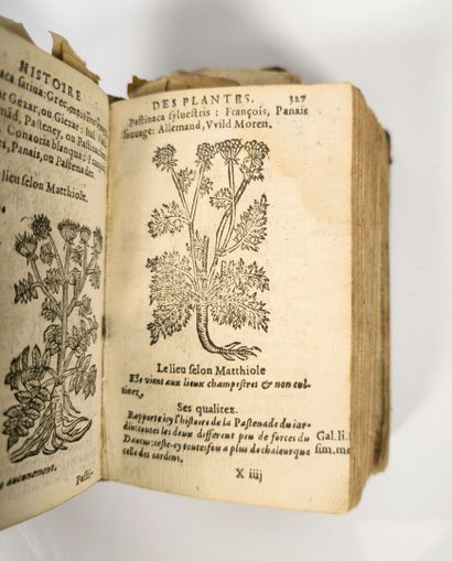 [LINOCIER (Geoffroy)]. L'Histoire des plantes,...
