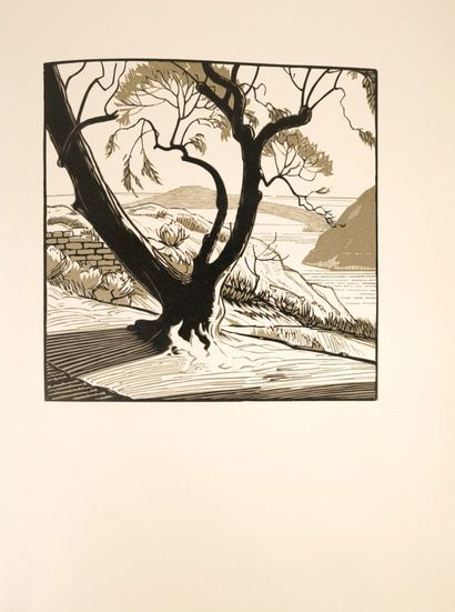 BURNOT (Philippe) & PAUPHILET (Albert). Trees....
