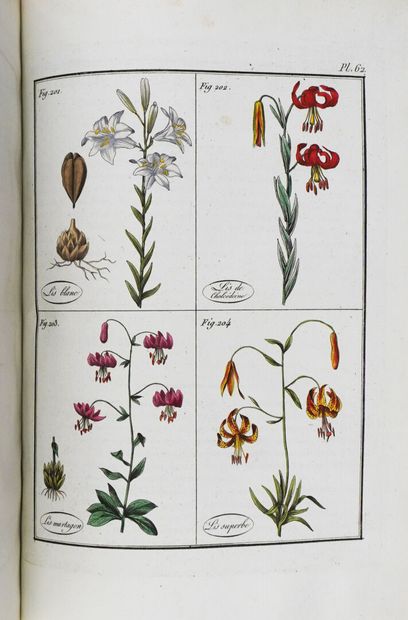 ROQUES (Joseph). Plantes usuelles, indigènes...