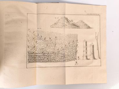 DUHAMEL du MONCEAU (Henri Louis). Des semis...